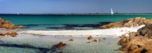 images (1)